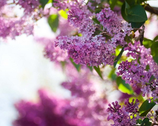 Режим работы Офиса продаж в майские праздники.