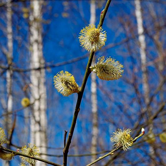 Весенняя апрельская акция! 