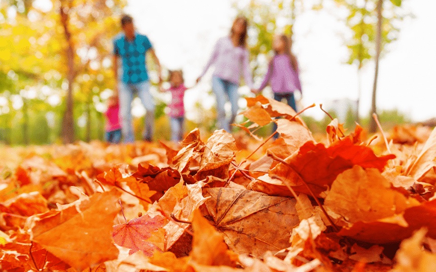 листоОТПАДНЫЕ ЦЕНЫ!